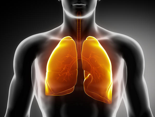 best heart hospital in Guntur, best cardiac hospitals in Guntur, Cardiac check-ups in Guntur, cardiothoracic surgery in Guntur, Cardiology hospital in Guntur 